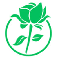零洞影视旧版本年旧版本