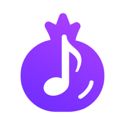 石榴音乐官方版app下载