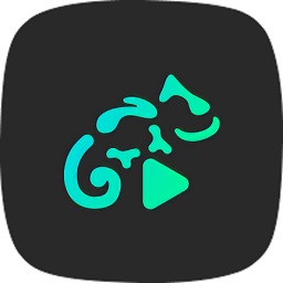 stellioplayer高级版下载app安装