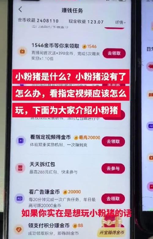 小#抖音极速版 #项目分享 #