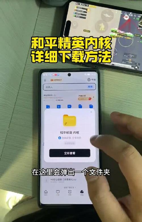 和平精英内核详细下载