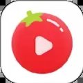 甜圈短剧app官方网站入口2020版下载安装