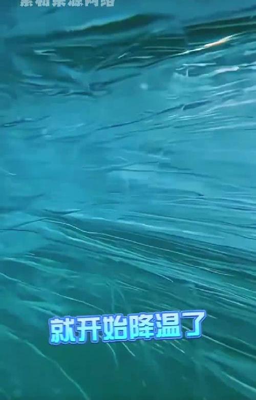 手机发烫？信不信3秒让你手机冒冷气❗