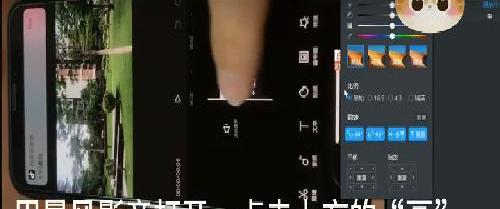 视频转向
