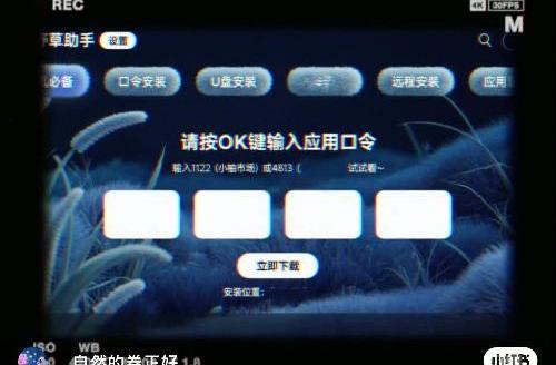 【口令有效】 0623-0629
