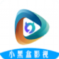 小黑盒影视软件车载版app官方最新版
