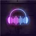 睿星音乐app版下载安装包