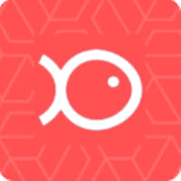知鱼影视国际版
