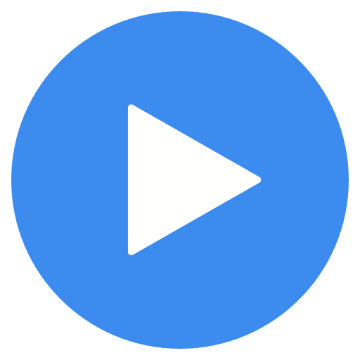 mx播放器专业版googleplay版