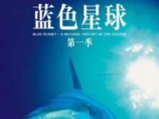 优酷上有哪些好看的免费纪录片_高分超清免费纪录片推荐