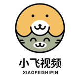 小飞视频下载安装app