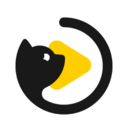 红楼app