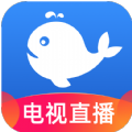 小鲸电视TVapp下载版