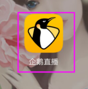 企鹅直播为什么不能发弹幕 企鹅直播不能发弹幕解决方法