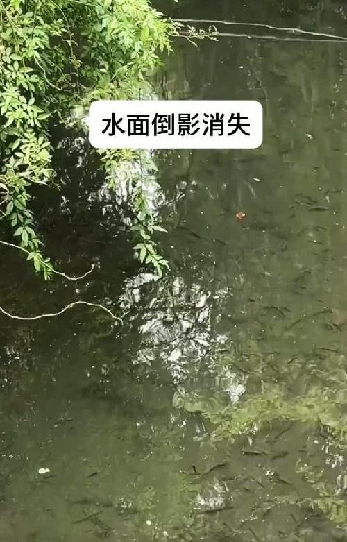 手机拍照高清无反光？到底是怎样的效果？