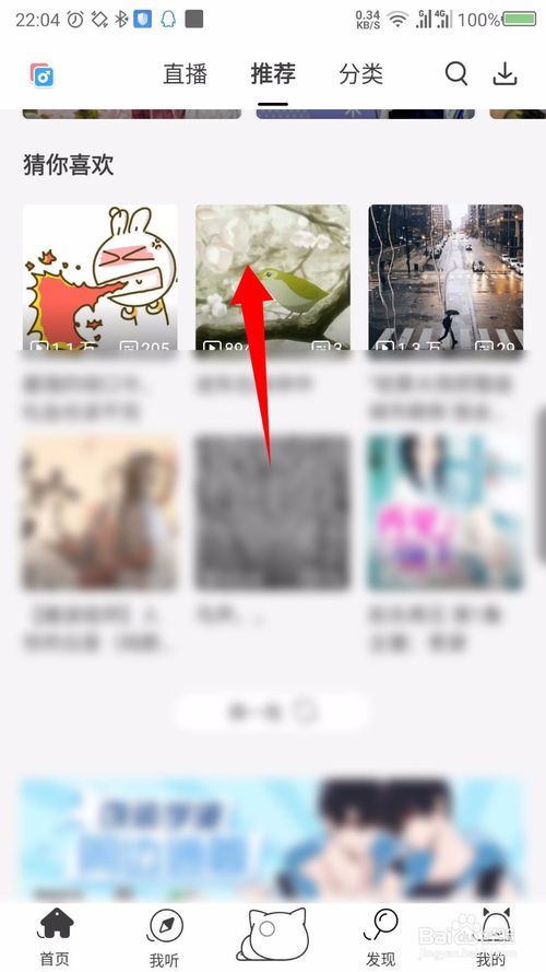猫耳fm怎么下载到mp3 下载音频方法