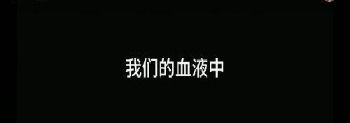 什么是青春？梦，什么是爱？梦的内容