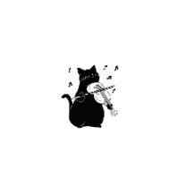 陌享猫音2019HD安卓旧版下载