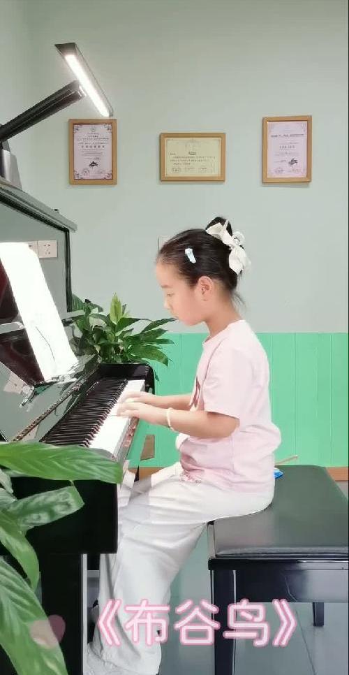 是真的“没时间”“太花钱”了吗？