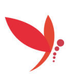 蜻蜓主播旧版下载2020