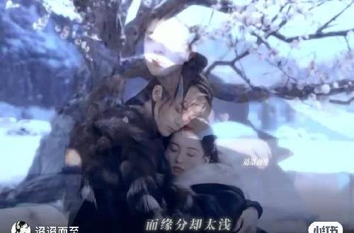 故事鲜艳 而缘分却太浅