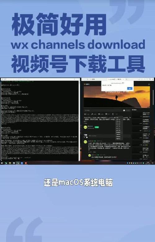 超实用开源视频号下载工具，多系统支持