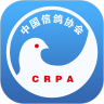 中国信鸽协会2016旧版本