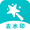 简简视频去水印无插件版