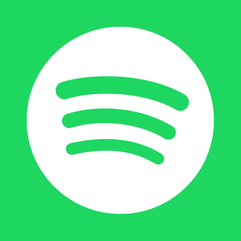 Spotify Lite公司安装