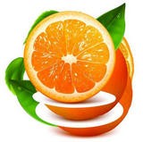 橙子视频免费追剧app平台下载安装