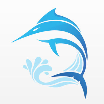飞流直播2021版下载安装