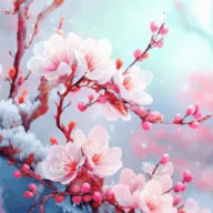 梅花影视TV版海外版苹果hd官方版