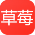 草莓免费短剧客户端pc版