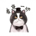 肥猫影视下载app正式版