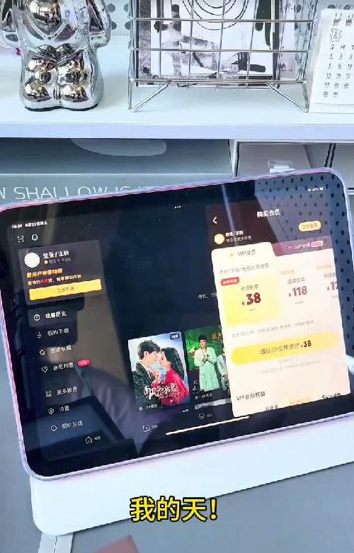 iPad自带safari 藏太深！不花钱追剧天花板