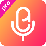 录音Pro版app下载版