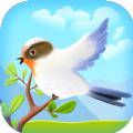 纯真鸟(版)
