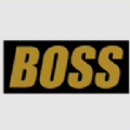boss视频2024最新版