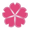 樱花动漫破解版2021旧版本