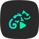 Stellio Player破解版老版本安装包