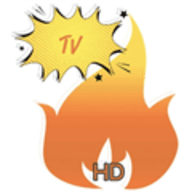 TV火炬仓配置接口版本旧版本2019年旧版本下载