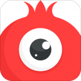 石榴直播app官网网页版无广告纯净版app