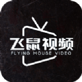 飞鼠视频旧版安装包hd版下载