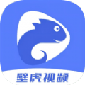 壁虎视频旧版安装包电脑端