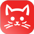 猫眼看看下载版官网