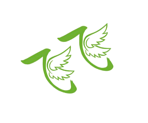 飞飞TV官网下载pc版