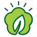 叶子影视播放器app最新版经典版app下载