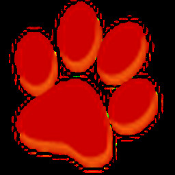 大猫影院安装包HD2024旧版