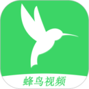 蜂鸟视频2023版本下载