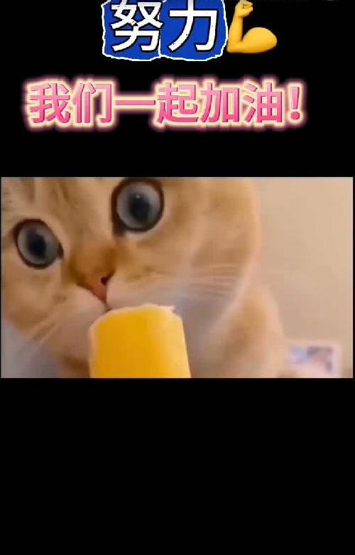 #干货分享 #自媒体 #自媒体创业 #ai#ai工具